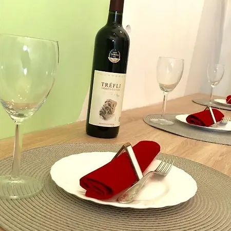 Modern Lux Aparment In Central Apartment *